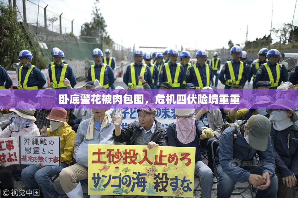 卧底警花被肉包围，危机四伏险境重重