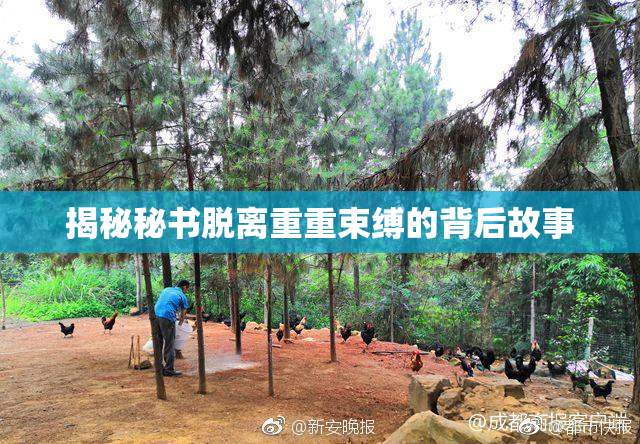 揭秘秘书脱离重重束缚的背后故事