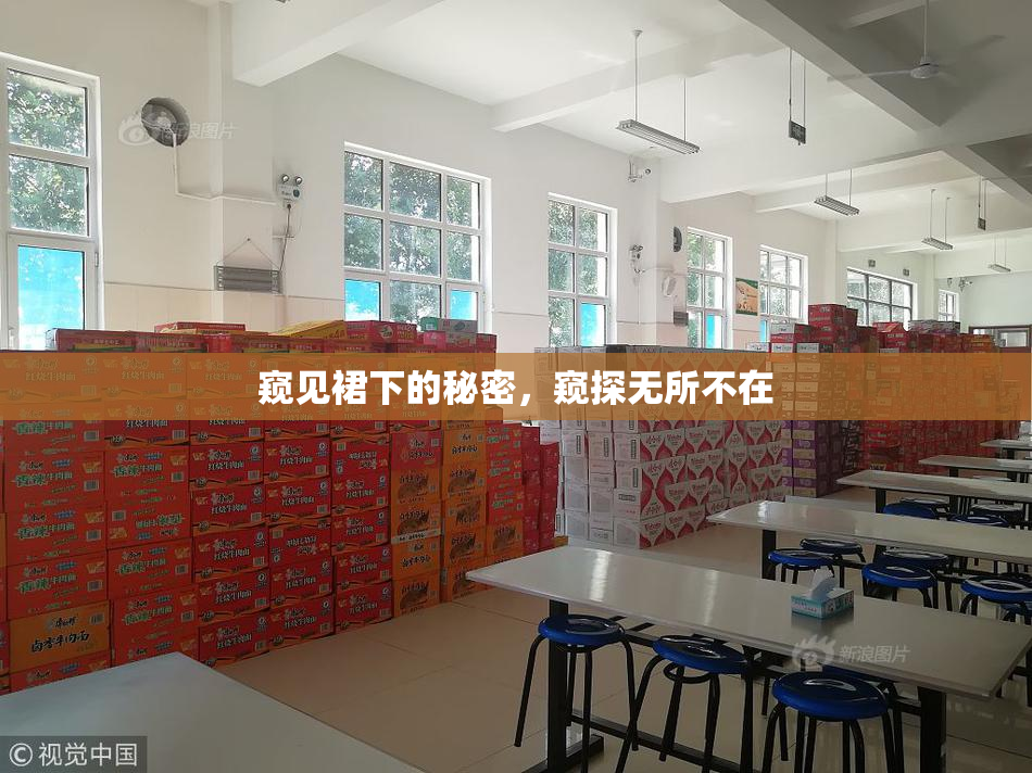 窥见裙下的秘密，窥探无所不在