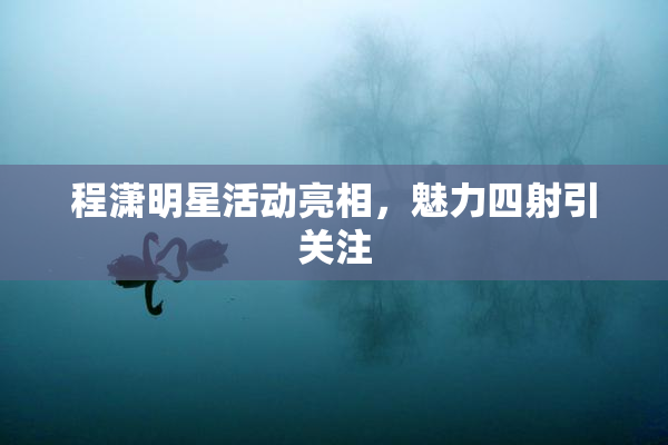 程潇明星活动亮相，魅力四射引关注
