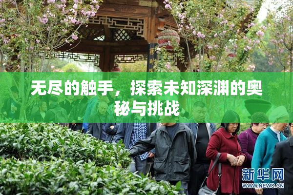 无尽的触手，探索未知深渊的奥秘与挑战