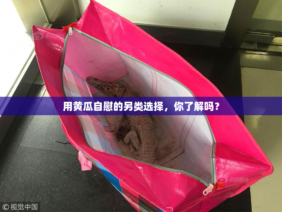 用黄瓜自慰的另类选择，你了解吗？