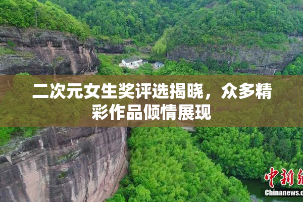 二次元女生奖评选揭晓，众多精彩作品倾情展现