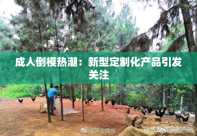 成人倒模热潮：新型定制化产品引发关注