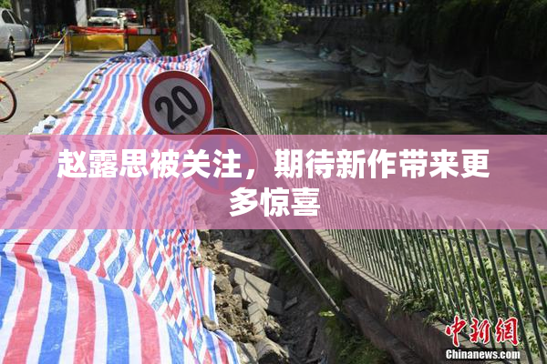 赵露思被关注，期待新作带来更多惊喜