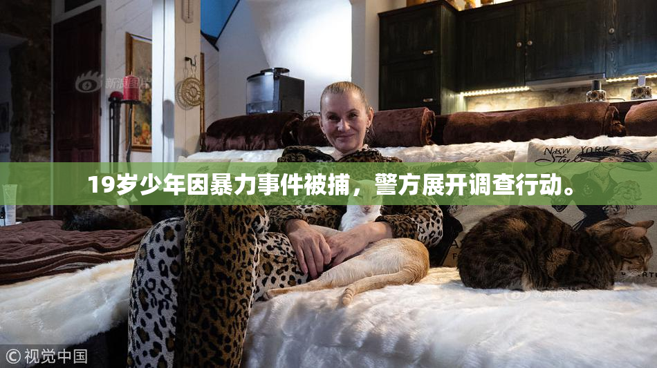 19岁少年因暴力事件被捕，警方展开调查行动。
