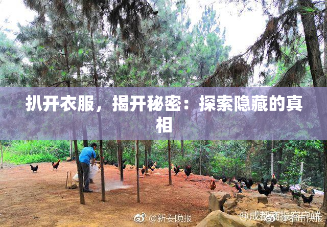 扒开衣服，揭开秘密：探索隐藏的真相