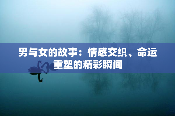 男与女的故事：情感交织、命运重塑的精彩瞬间