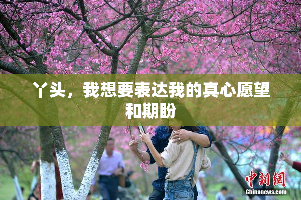 丫头，我想要表达我的真心愿望和期盼