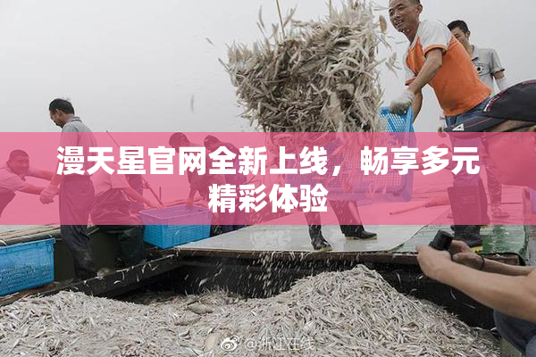 漫天星官网全新上线，畅享多元精彩体验