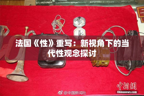 法国《性》重写：新视角下的当代性观念探讨