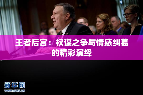 王者后宫：权谋之争与情感纠葛的精彩演绎