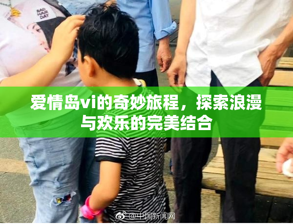 爱情岛vi的奇妙旅程，探索浪漫与欢乐的完美结合