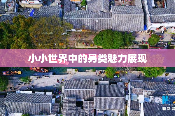小小世界中的另类魅力展现