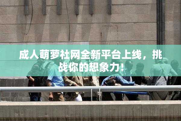 成人萌萝社网全新平台上线，挑战你的想象力！