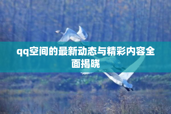 qq空间的最新动态与精彩内容全面揭晓