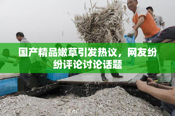 国产精品嫩草引发热议，网友纷纷评论讨论话题