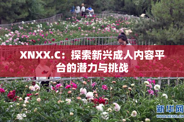 XNXX.C：探索新兴成人内容平台的潜力与挑战