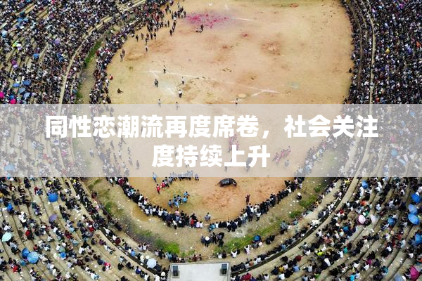同性恋潮流再度席卷，社会关注度持续上升