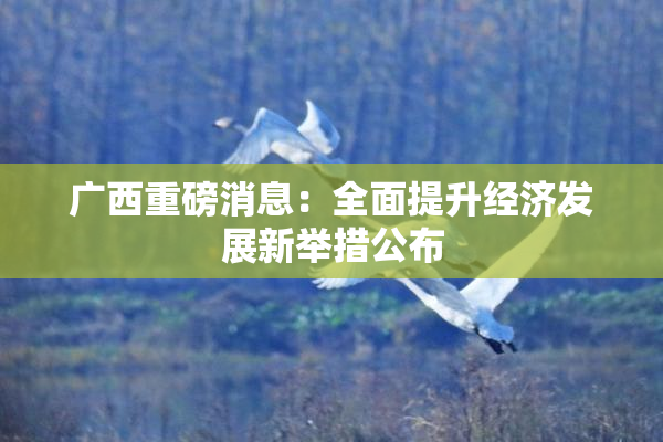 广西重磅消息：全面提升经济发展新举措公布