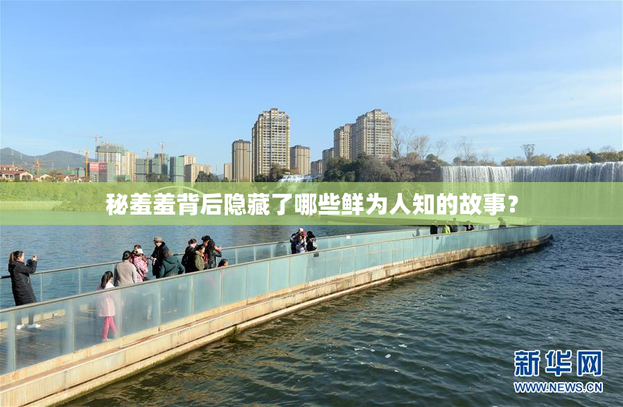 秘羞羞背后隐藏了哪些鲜为人知的故事？