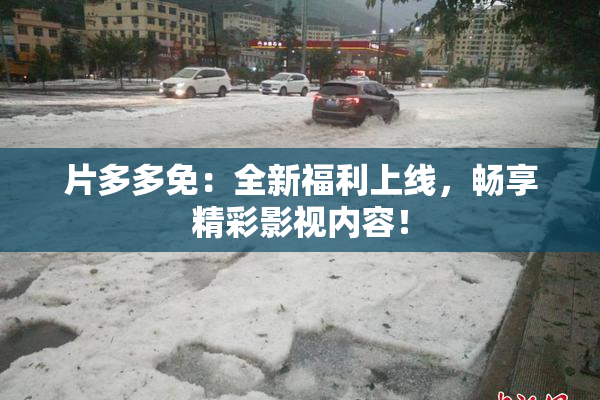 片多多免：全新福利上线，畅享精彩影视内容！