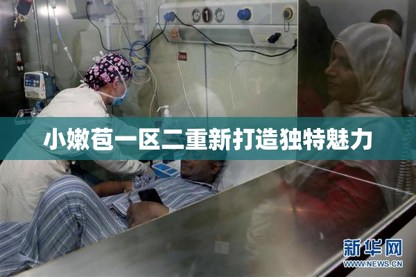 小嫩苞一区二重新打造独特魅力
