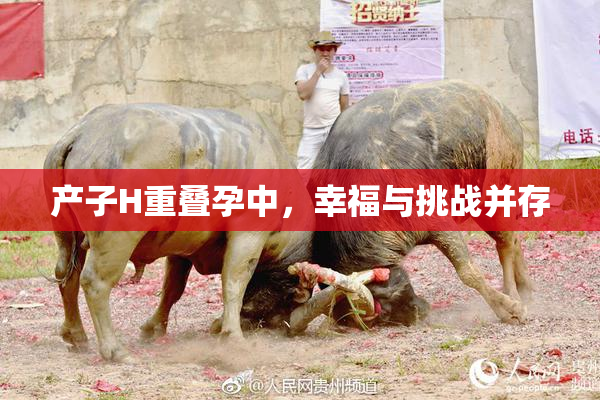 产子H重叠孕中，幸福与挑战并存