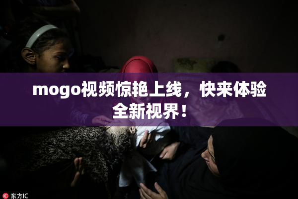mogo视频惊艳上线，快来体验全新视界！