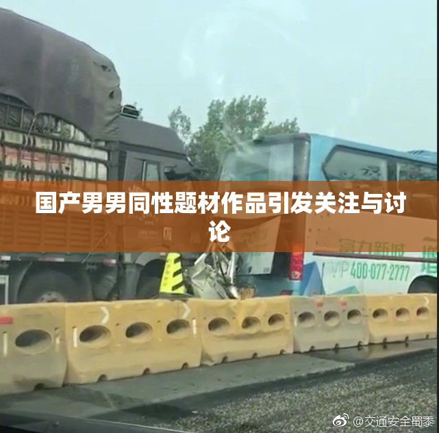 国产男男同性题材作品引发关注与讨论