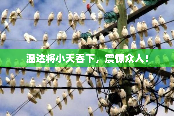 温达将小天吞下，震惊众人！