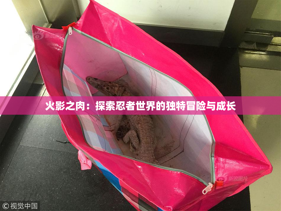 火影之肉：探索忍者世界的独特冒险与成长