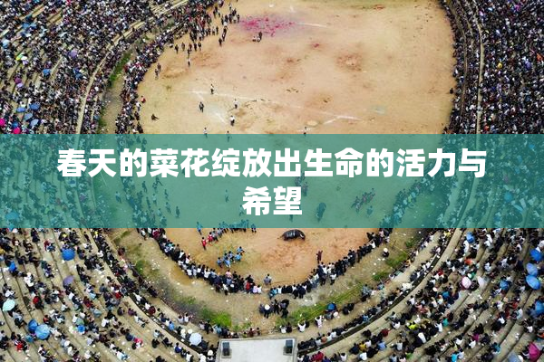 春天的菜花绽放出生命的活力与希望