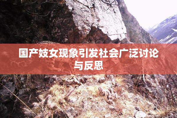 国产妓女现象引发社会广泛讨论与反思