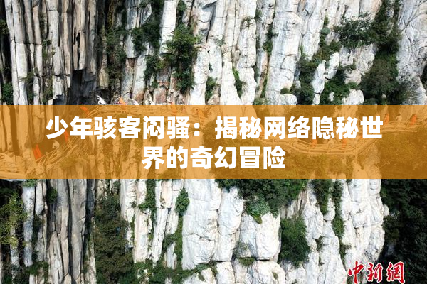 少年骇客闷骚：揭秘网络隐秘世界的奇幻冒险