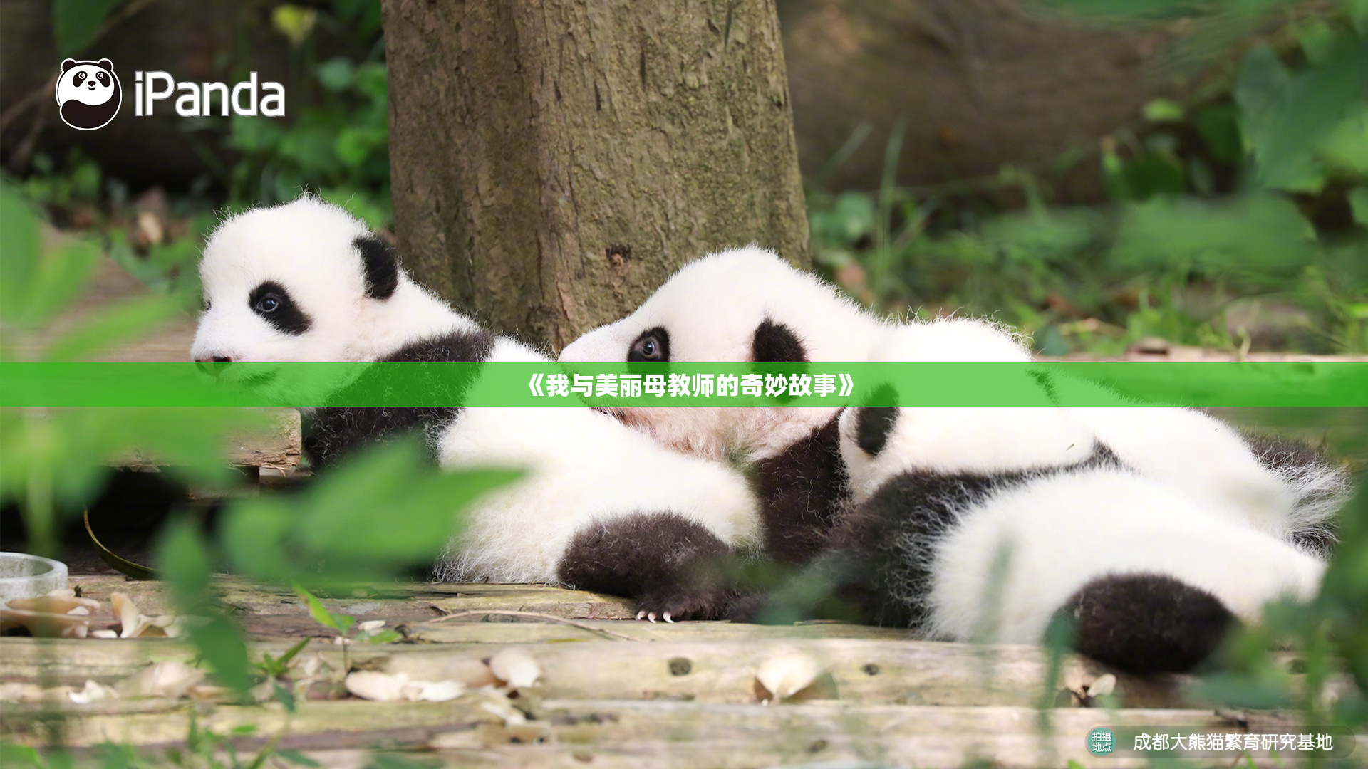 《我与美丽母教师的奇妙故事》