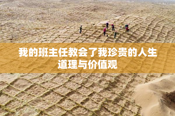 我的班主任教会了我珍贵的人生道理与价值观