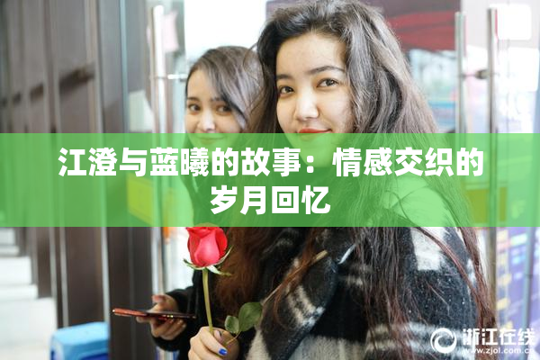 江澄与蓝曦的故事：情感交织的岁月回忆
