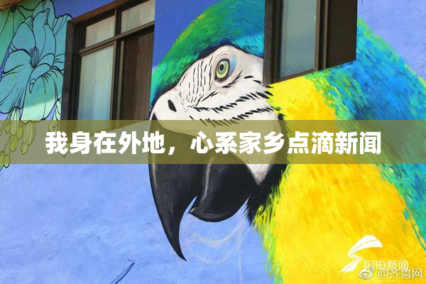 我身在外地，心系家乡点滴新闻
