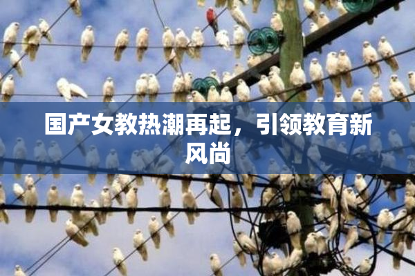 国产女教热潮再起，引领教育新风尚