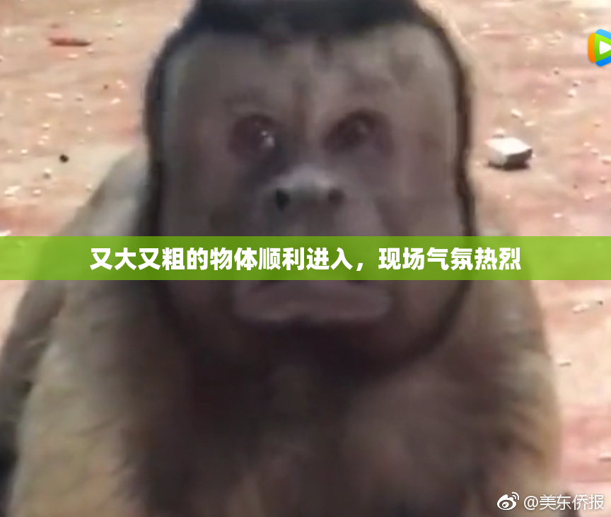 又大又粗的物体顺利进入，现场气氛热烈