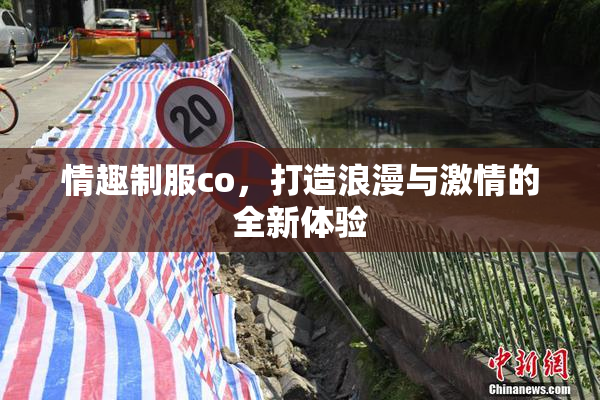 情趣制服co，打造浪漫与激情的全新体验
