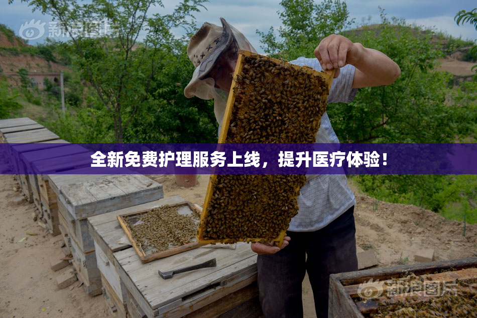 全新免费护理服务上线，提升医疗体验！