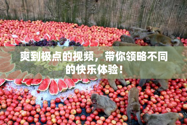 爽到极点的视频，带你领略不同的快乐体验！