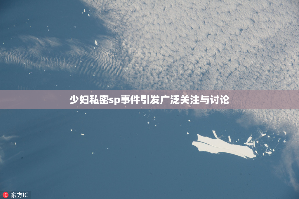 少妇私密sp事件引发广泛关注与讨论