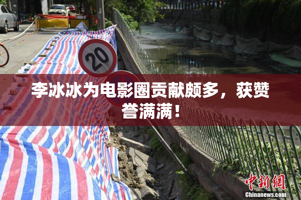 李冰冰为电影圈贡献颇多，获赞誉满满！