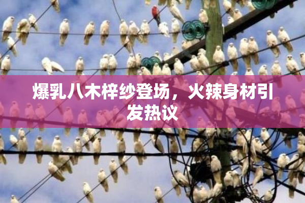 爆乳八木梓纱登场，火辣身材引发热议