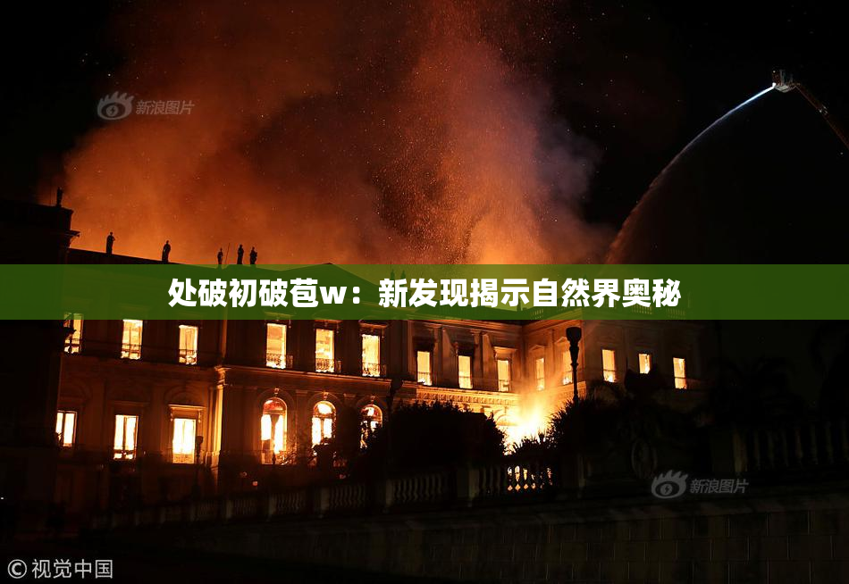 处破初破苞w：新发现揭示自然界奥秘