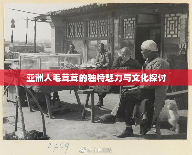 亚洲人毛茸茸的独特魅力与文化探讨