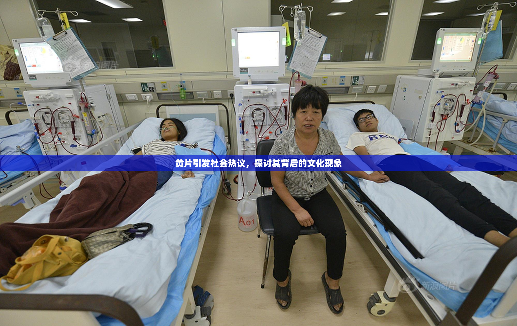 黄片引发社会热议，探讨其背后的文化现象